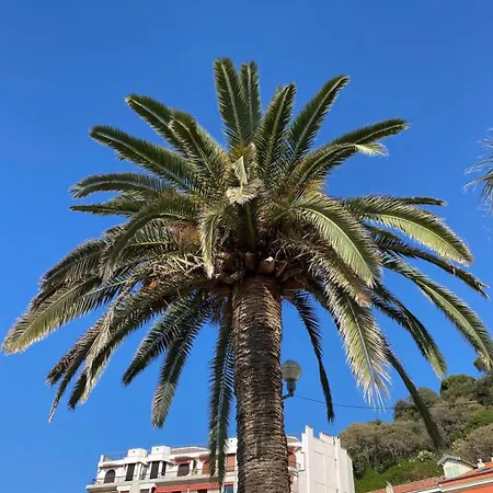 Le Riviera Collection, Signature Collection By Western Nizza